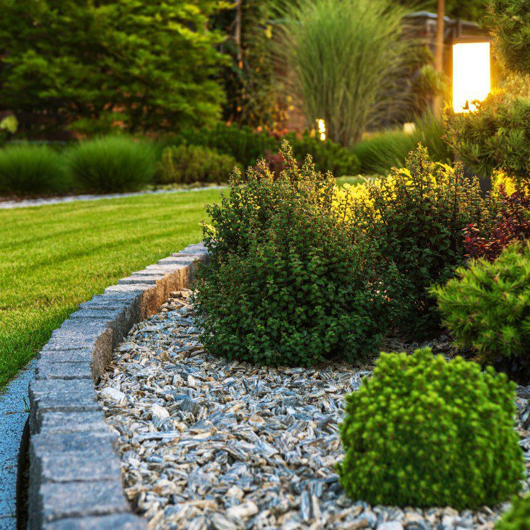 Landscape Services in Princeton, TX