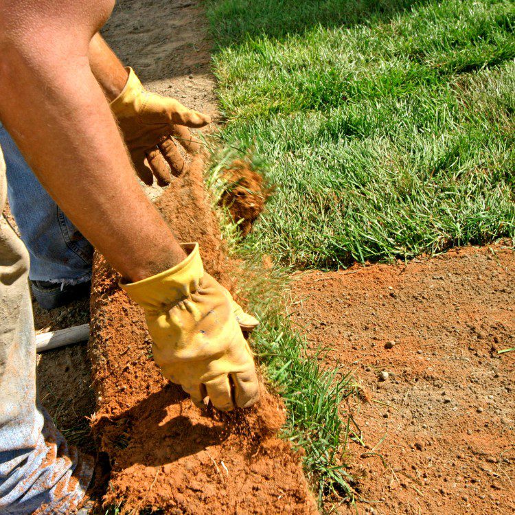 Landscape Services in Princeton, TX