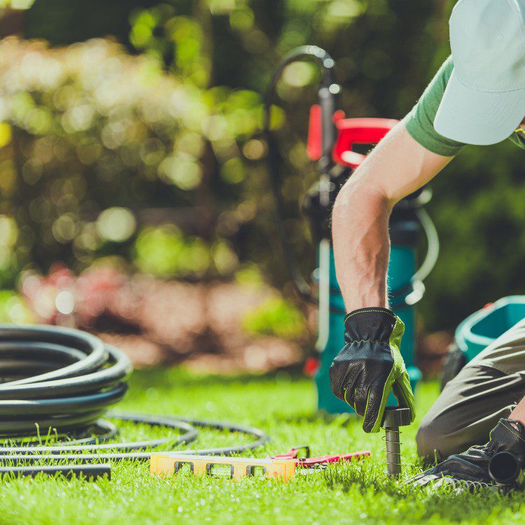 Landscape Services in Princeton, TX