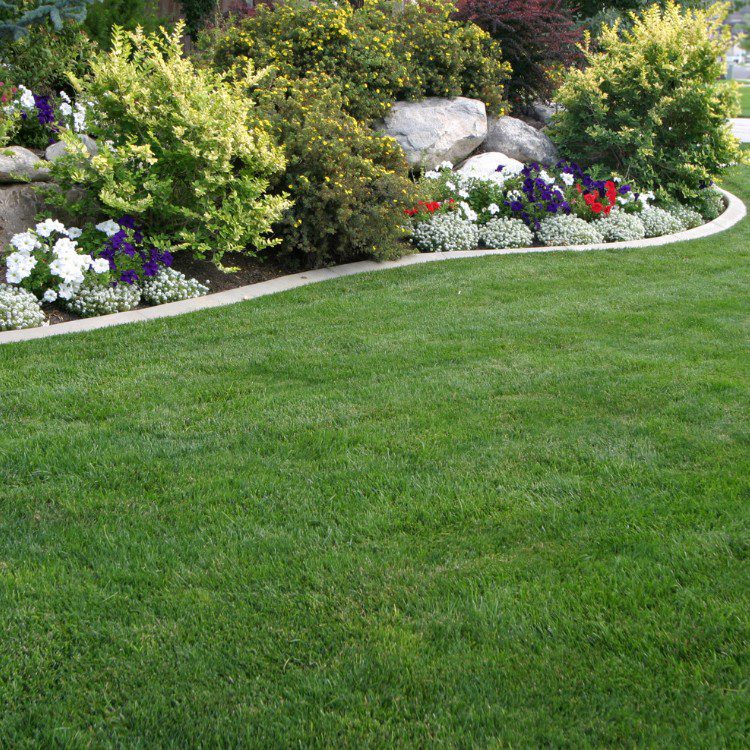 Landscape Services in Princeton, TX